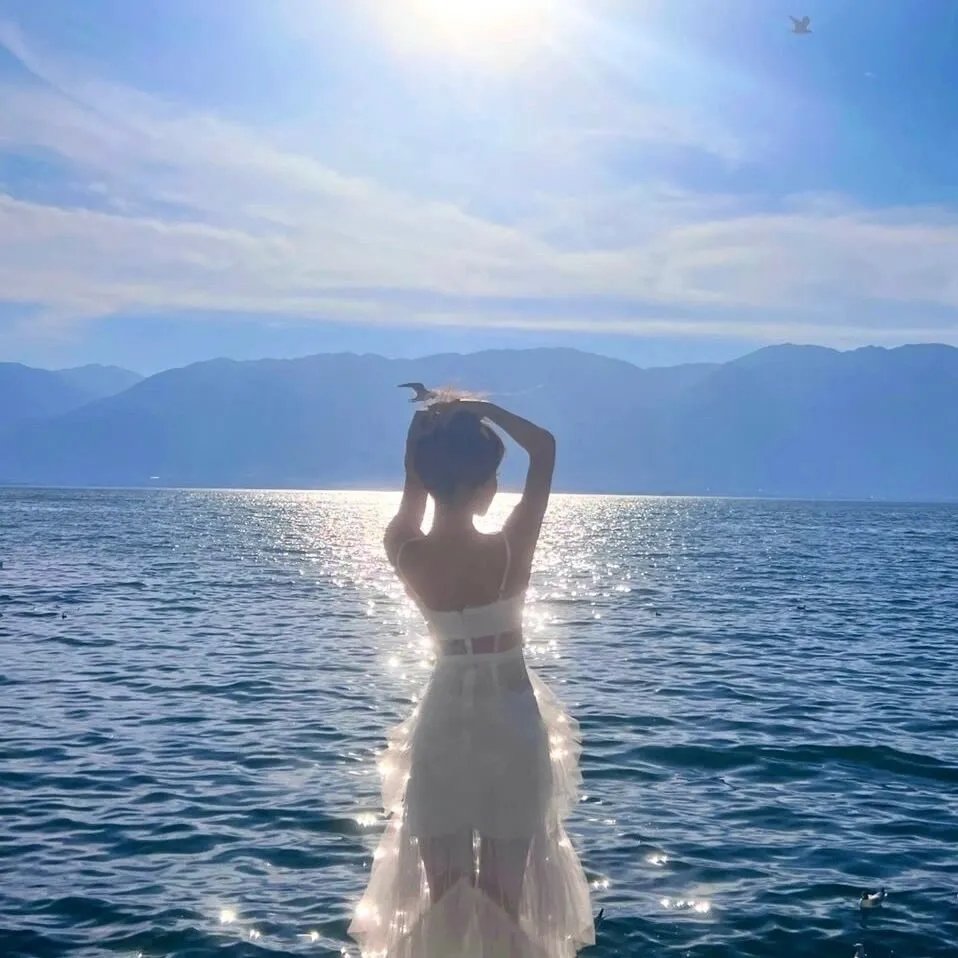 重生之执棋夺嫡